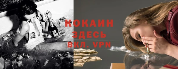 apvp Белокуриха