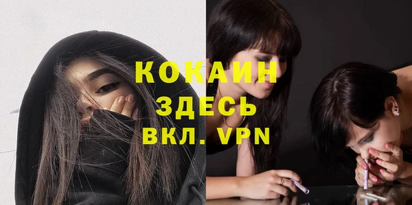 apvp Белокуриха