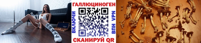 это официальный сайт  hydra ССЫЛКА  Володарск  Псилоцибиновые грибы Magic Shrooms 